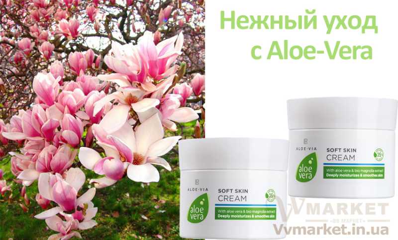 Купить универсальный крем для лица и тела Алоэ Вера Нежный крем (Aloe Vera Soft Skin Cream), 100 мл, 2 шт., LR с доставкой Киев, Львов, Одесса,   Николаев, Херсон, Харьков, Полтава, Днепропетровск, Сумы, Ивано-Франковск, Черкассы, Запорожье, Житомир, Ровно, Винница, Волынь, Хмельницкий,   Сарата, Трускавец, Смела, Энергодар, Южноукраинск, Моршин, Южный, Никополь, Красилов, Новая   Каховка, Софиевка, Ямполь, Новоукраинка, Славутич,   Яремча, Мукачево, Канев, Желтые Воды, Староконстантинов, Ульяновка, Калуш,   Каменец-Подольский, Старый Самбор, Украинка, Изяслав, Волынский,   Переяслав-Хмельницкий, Жидачев, Новый Буг, Житомир, Боярка, Нежин, Немиров, Диканька, Нетишин, Бровары, Жмеринка, Украина,   Россия, Казахстан